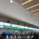 카멜리아 | 일본 후쿠오카 부산 배편 이동 뉴카멜리아호 탑승후기 시설 먹거리까지