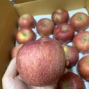 혜인농장 이미지