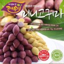 농산개발(주) 이미지