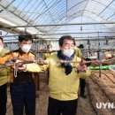 동계시장 이미지