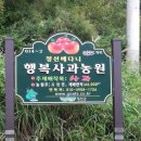 정선베다니자연농장 이미지