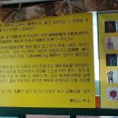 강화해독관 이미지