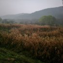 함평여관 이미지