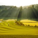 울산컨트리클럽 이미지