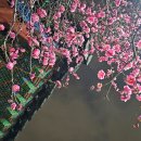 홍무25년장흥사명동종 이미지