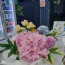 브라보스크린골프 화성향남점 이미지