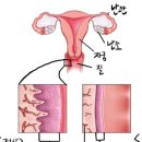일산제일산부인과의원 이미지