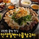 생생돈곱창 | 안양일번가 곱창 맛집 25년 노포 안양일번가곱창구이 내돈내산 후기!