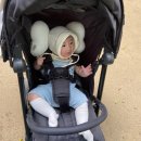 신생아, 아기 머리 흔들림 방지 필수품 유모차 목 베개(돗투돗 X 마를로뜨 나비 베개)