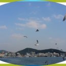 안흥유람선 이미지