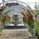 금강수변공원5 이미지