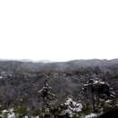 오금3리 이미지