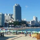 송도해수욕장 네이버블로그