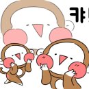 팬더선생 이미지