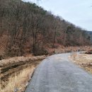 (주)안나여행사