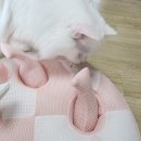 냥이네 하우스 이미지