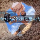 곽지패총 | 2박 3일 제주여행, 곽지해수욕장 인생 사진 인스타 사진