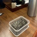 종로-신영-종로-영-249 | [종로 생선구이] 정백어가 광화문 피맛골본점 - 갈치와 삼치의 압도적인 퀄리티 후기