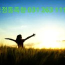 족향 이미지