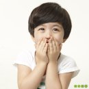 신양 벚꽃길 이미지