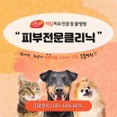 구서동물병원 이미지