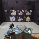 2721 | 6세아이와 국립부여박물관/어린이박물관 방문후기