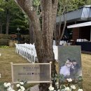 용산-현장-1661 | 공공예식장 후기 "남산한남웨딩가든" 플라워 연출