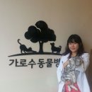 가로수동물병원 이미지