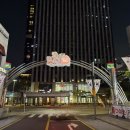 송파구장애인운전교육원 | 방이동 먹자골목 주차 고민 끝! 🅿️송파구청 공영주차장 이용 후기