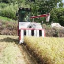 강진6호 이미지