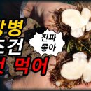 만성위염, 위축성위염, 장상피화생에 이것이 최고의 약초입니다[약초방송] 이미지