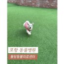 돌담 동물의료센터 이미지