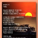 송년의 시 - 이해인 이미지