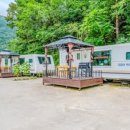 디뮤어 카라반 이미지