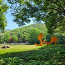 서울대공원 캠핑장 이미지