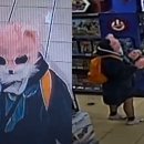 우산쓴고양이 이미지