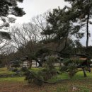 진주 모순 정려비 이미지