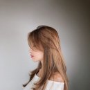 앨범헤어 네이버블로그