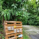 푸른꿈농장 이미지