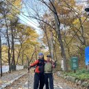 운동공간 비트윈 | 가을 단풍 등산 코디 내돈내산 (아디다스 트레일 러닝 베스트)