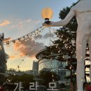 가락시장 활어회 맛집 바다나라 민어회 모둠 먹고 온 후기 (내돈내산)