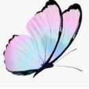 여헌로-11 이미지