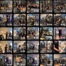 앵그리바디짐 이미지