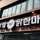 천계닭한마리