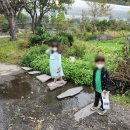 바둑이농장 이미지