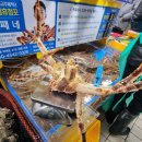 인천종합어시장 킹크랩 시세 꽃게 조개 구매후기( + 주차 꿀팁!)