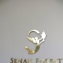 세난포레스트