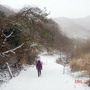 등봉주유소 Daum카페
