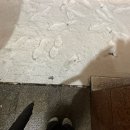 나무고아원A | YOU ALWAYS POP THE TOP OF MY YAMA!!!