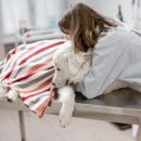 광주24시스카이동물메디컬센터 이미지